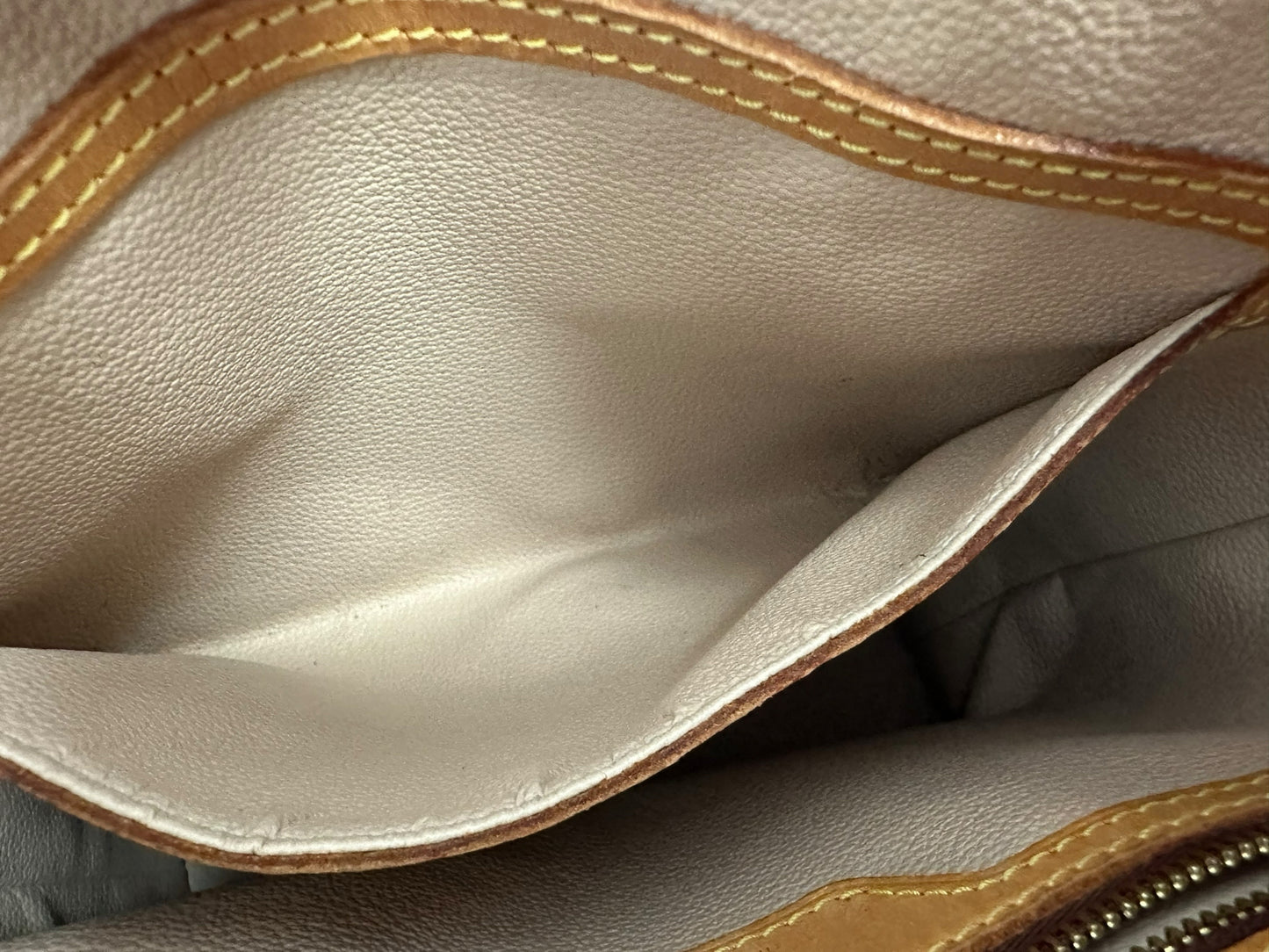louis vuitton Brown Petit Bucket Bag Designer Handbag