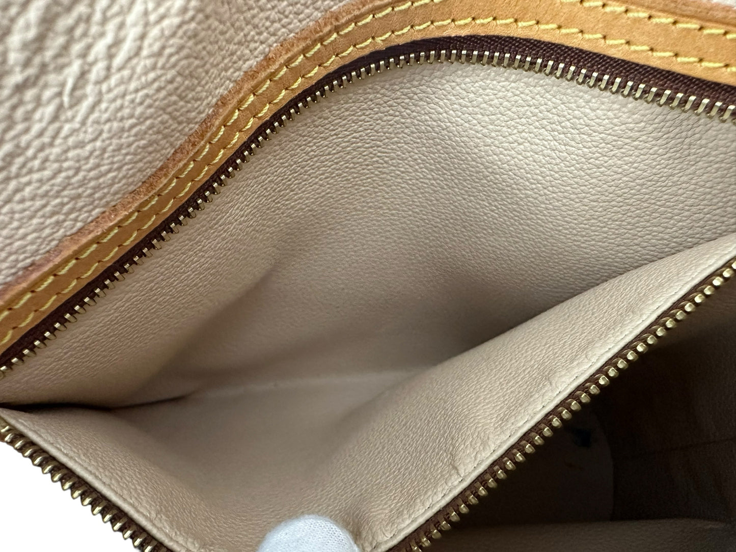 louis vuitton Brown Petit Bucket Bag Designer Handbag