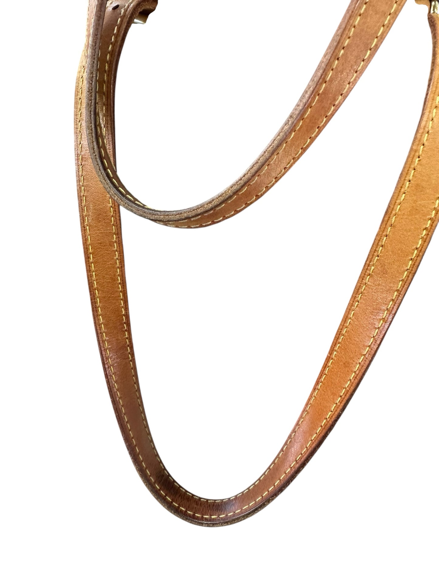 louis vuitton Brown Petit Bucket Bag Designer Handbag