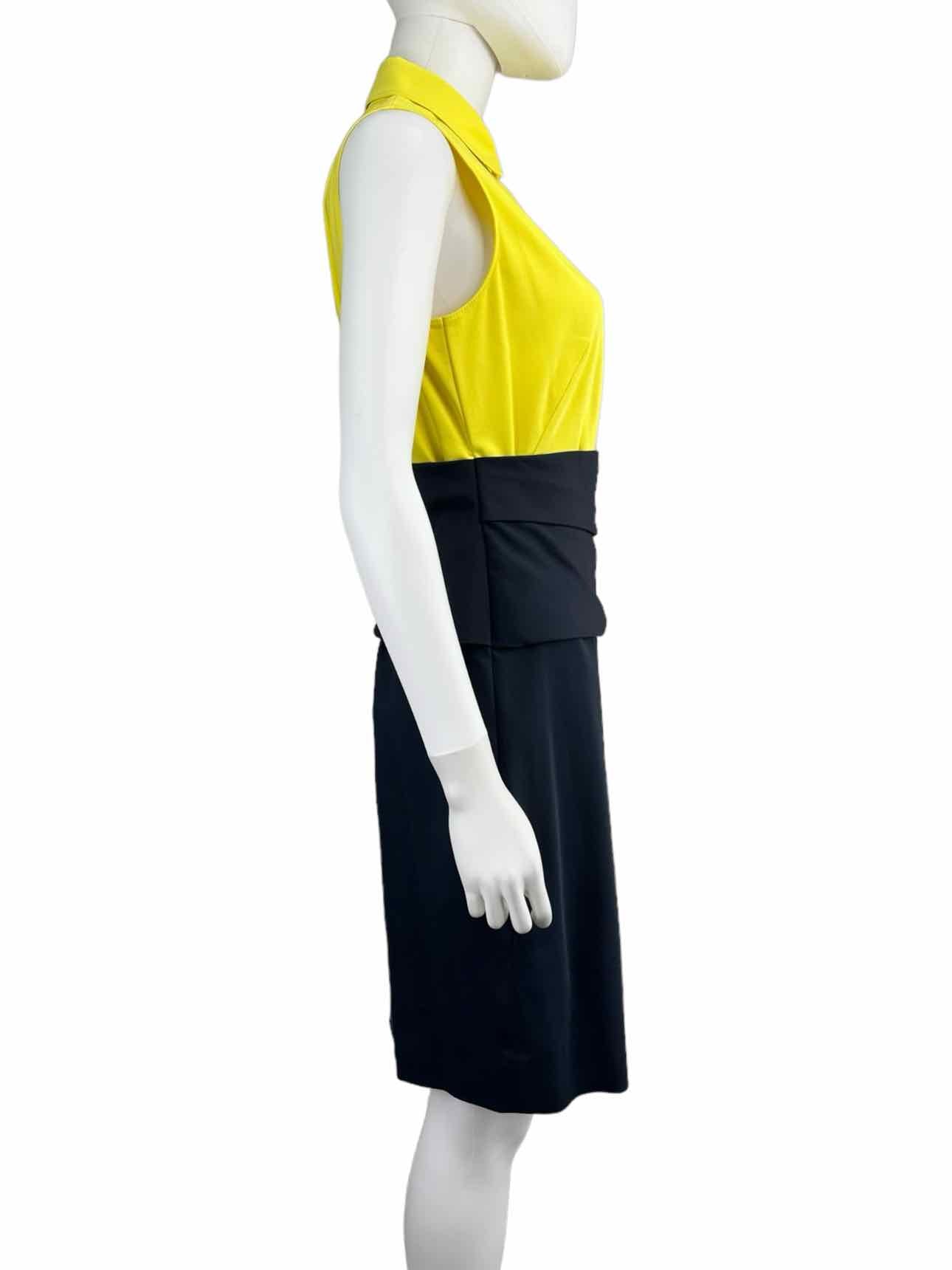 AKRIS Sleeveless Colorblock Dress Size 8