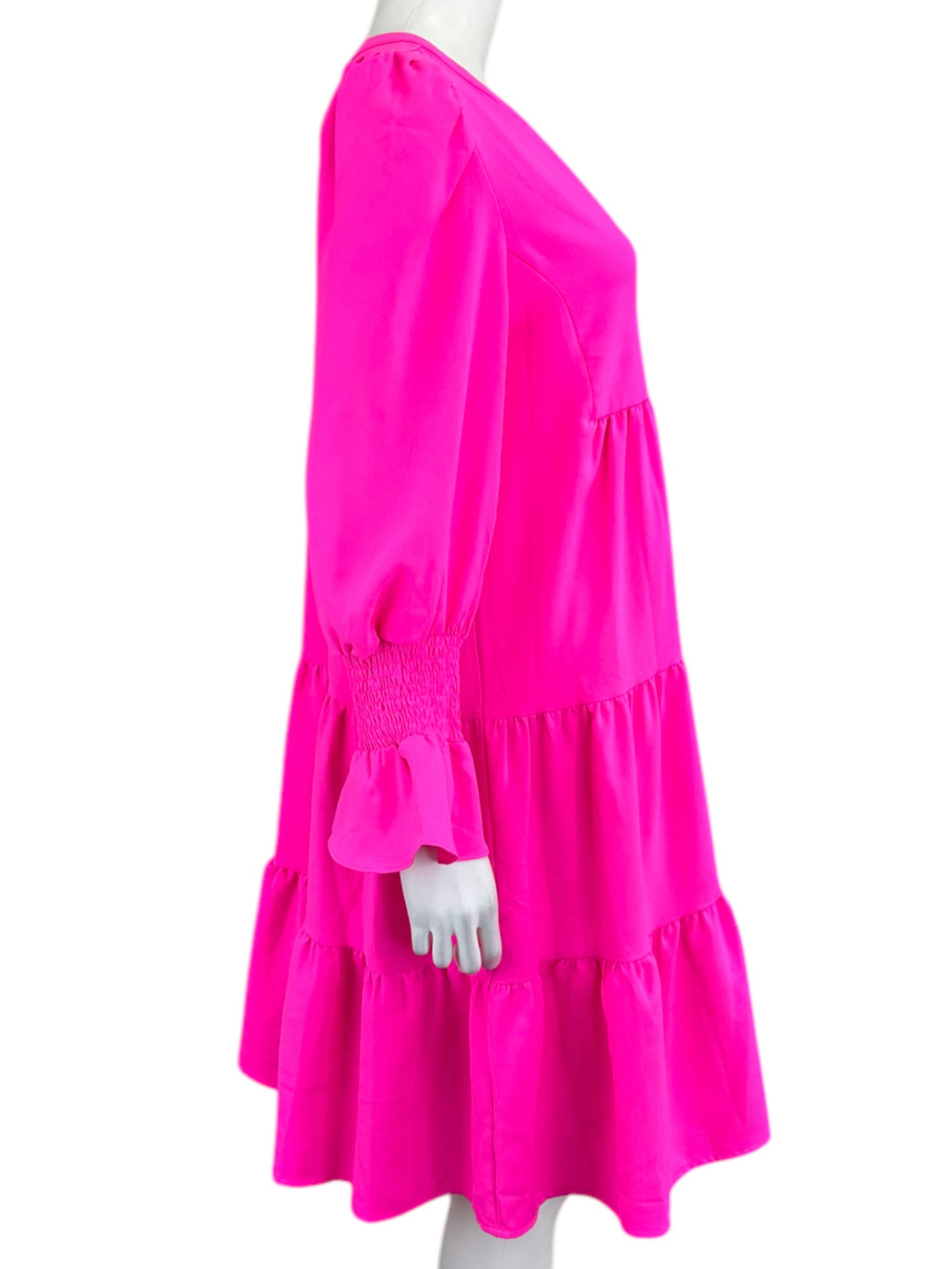 POMANDER PLACE Hot Pink Mini Dress Size L