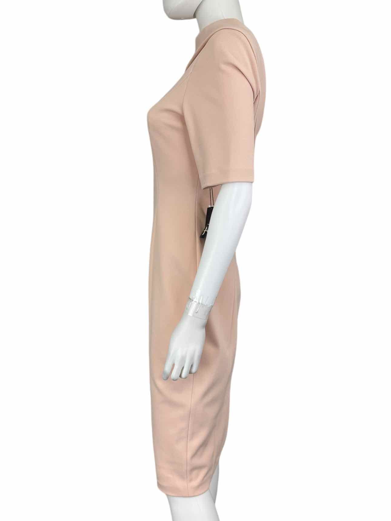 Adrianna Papell NWT Pink Blush Sheath Dress Size 4