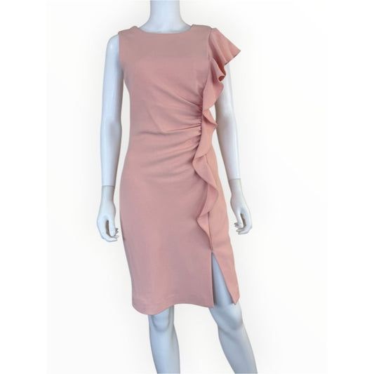 Alberto MAKALI Pink Sheath Dress Size 4