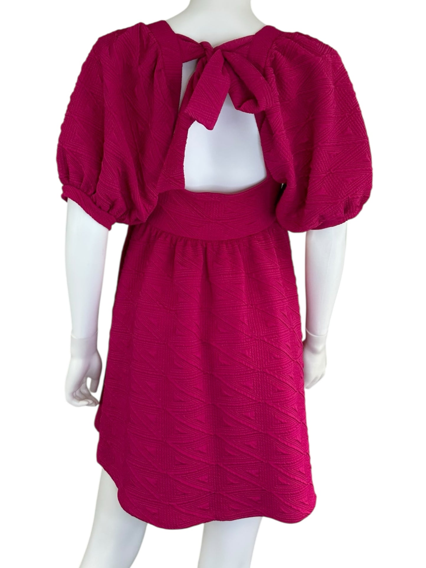 NWT Free People Fuchsia Casual Dress Size XS