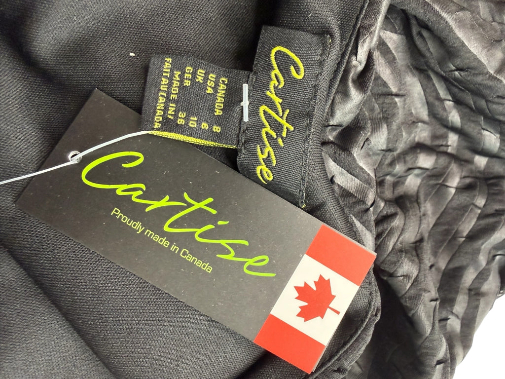 cartise Size 8 Dress- Workwear