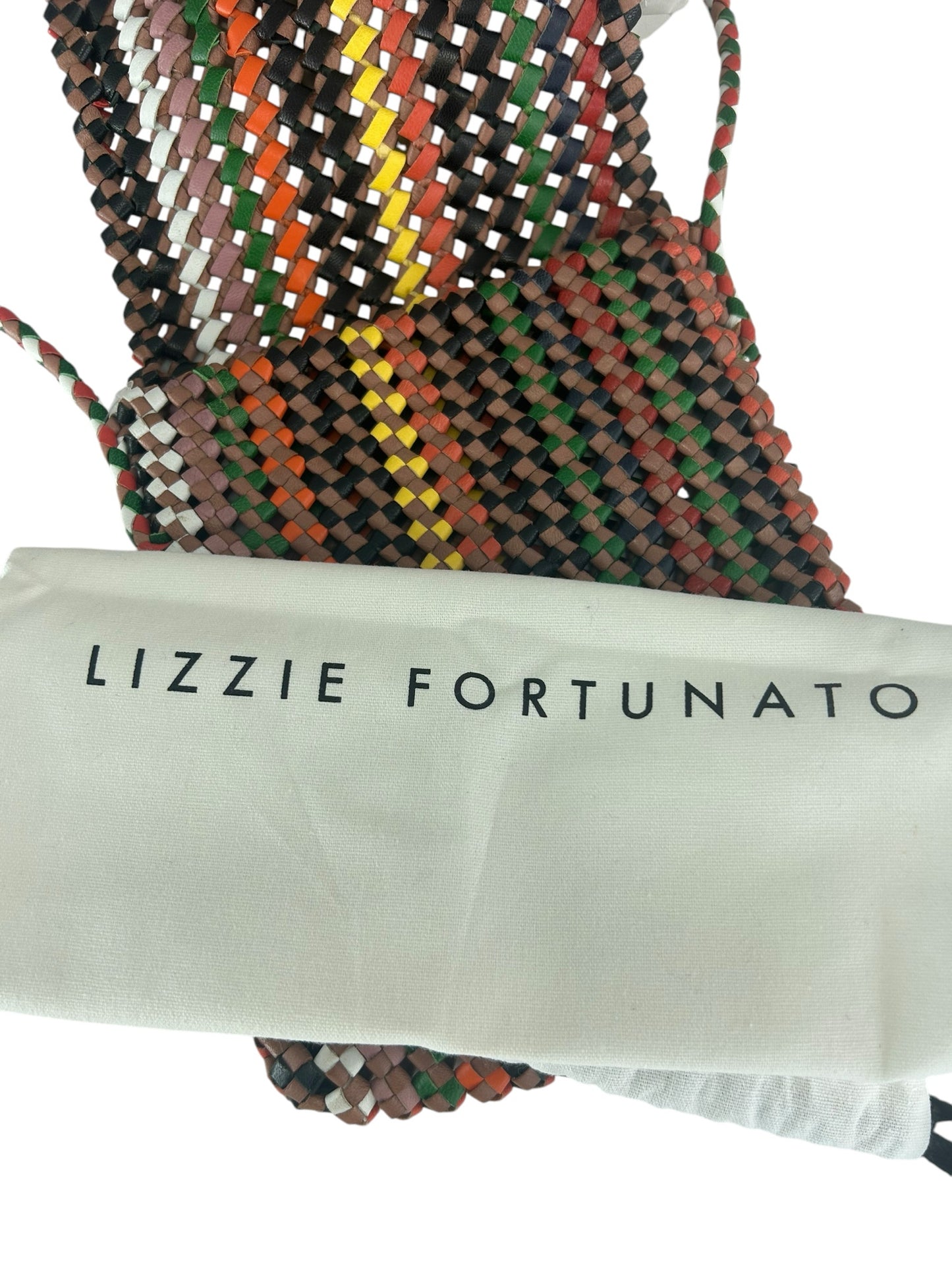 LIZZIE FORTUNATO Crossbody Designer Handbag