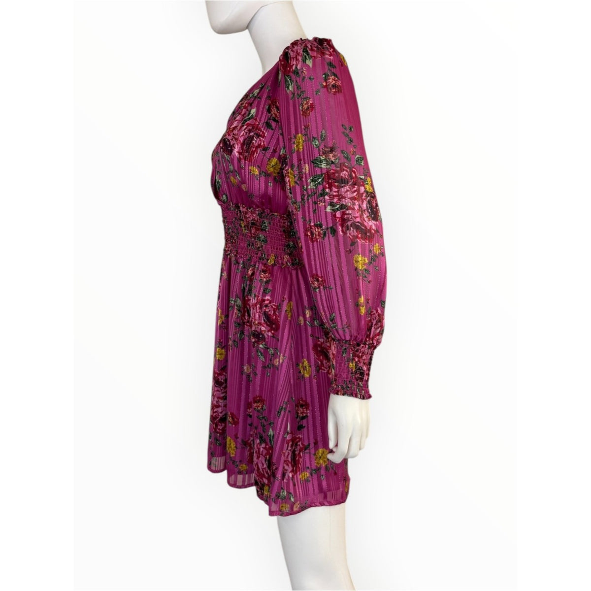 WAYF NWT Magenta Stripe Floral Mini Dress Size S