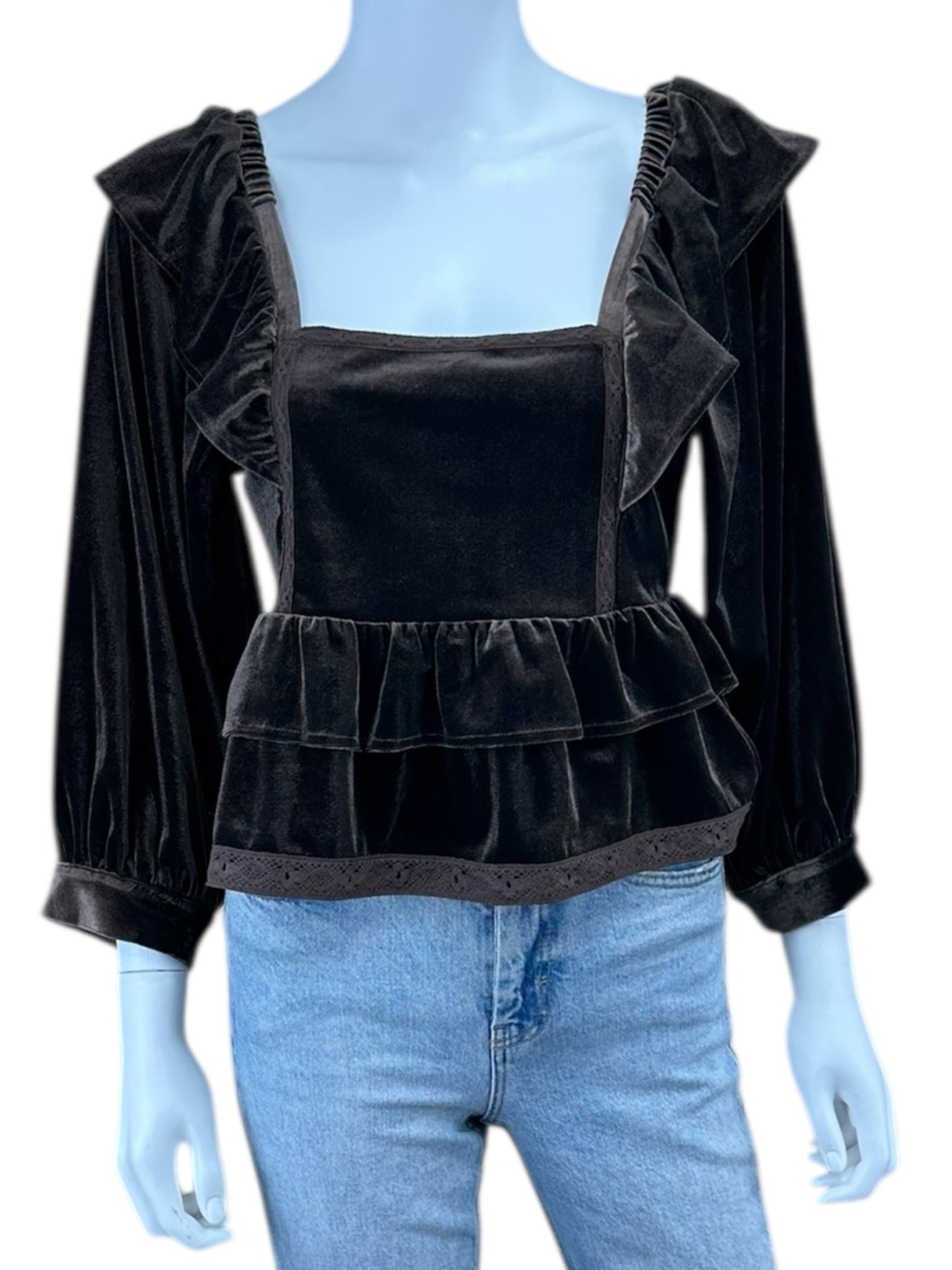 Saltwater Luxe NWT Brown Velvet Cruz Top Size S