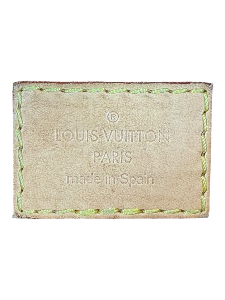 Louis Vuitton Multi Pochette Accessoires Crossbody