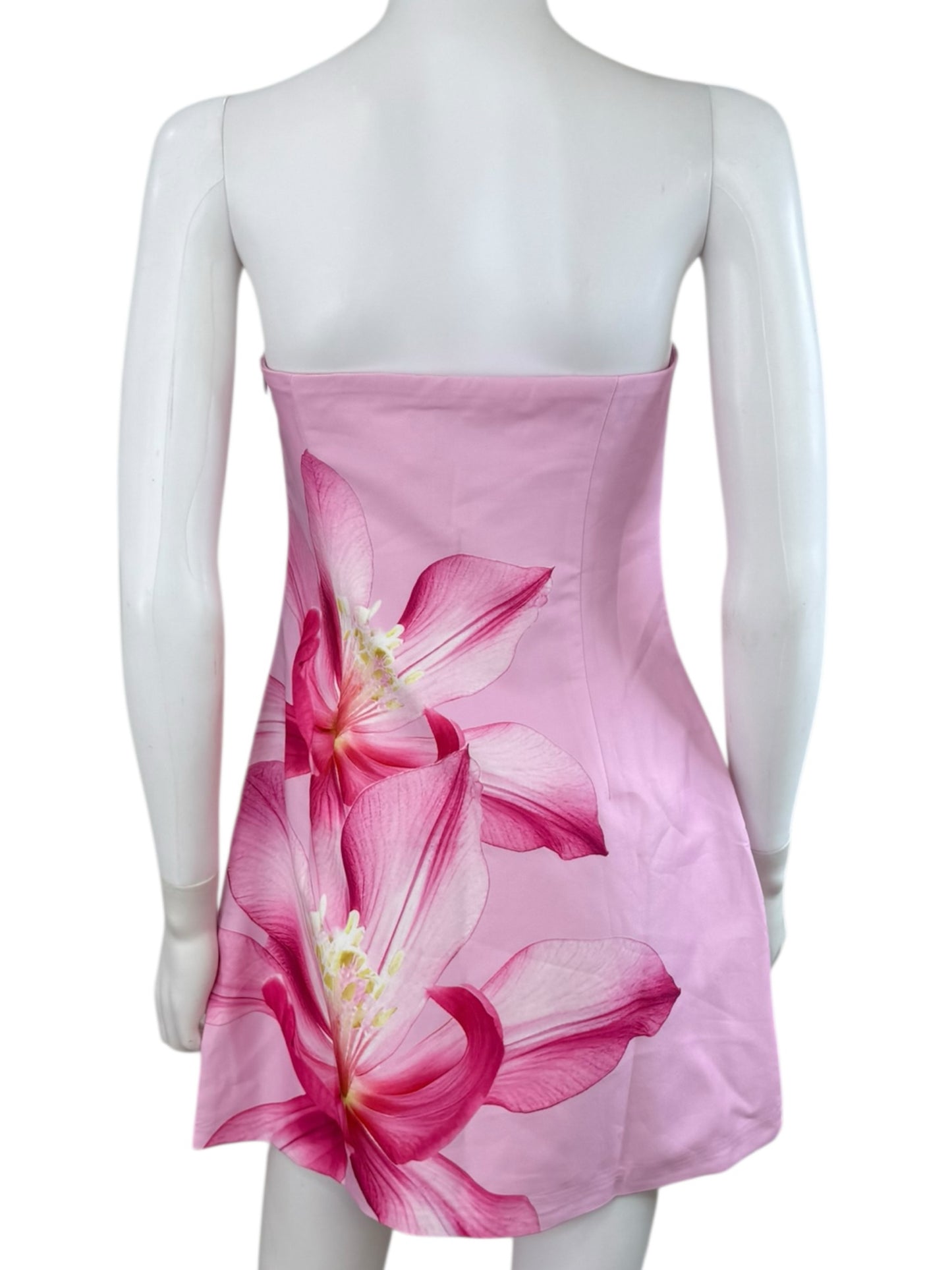 Runaway NWT Pink Floral Primrose Mini Dress Size M