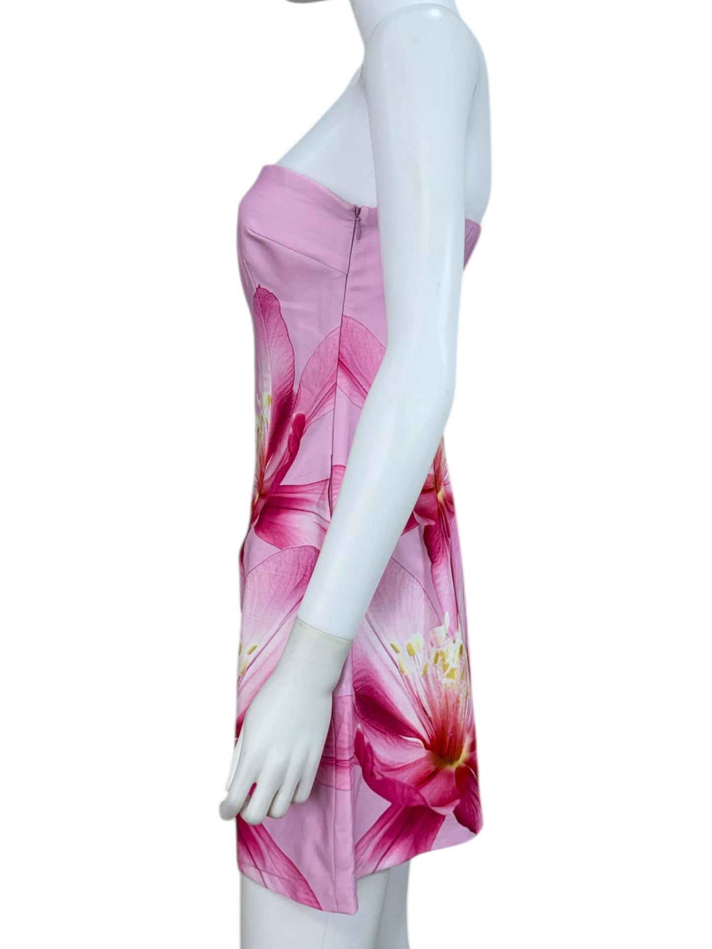 Runaway NWT Pink Floral Primrose Mini Dress Size M