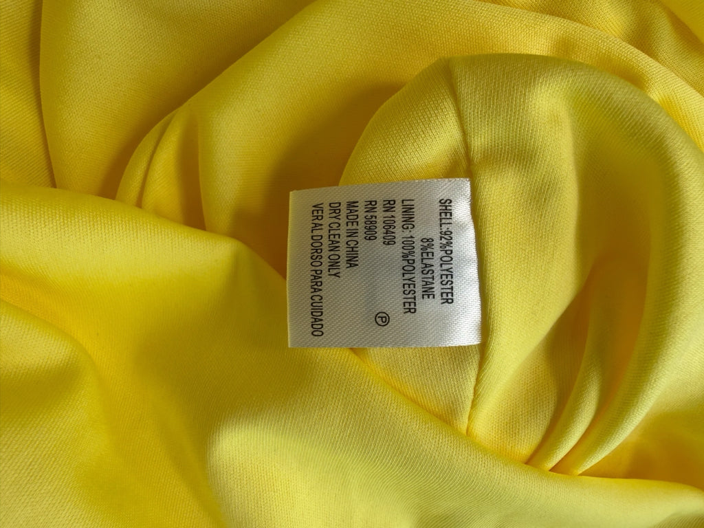 ANTONIO MELANI NWT Yellow Mesh Striped Enid Dress Size 2