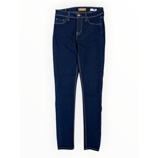 Vizcaino Premium Denim Blue Skinny Jeans Size 2