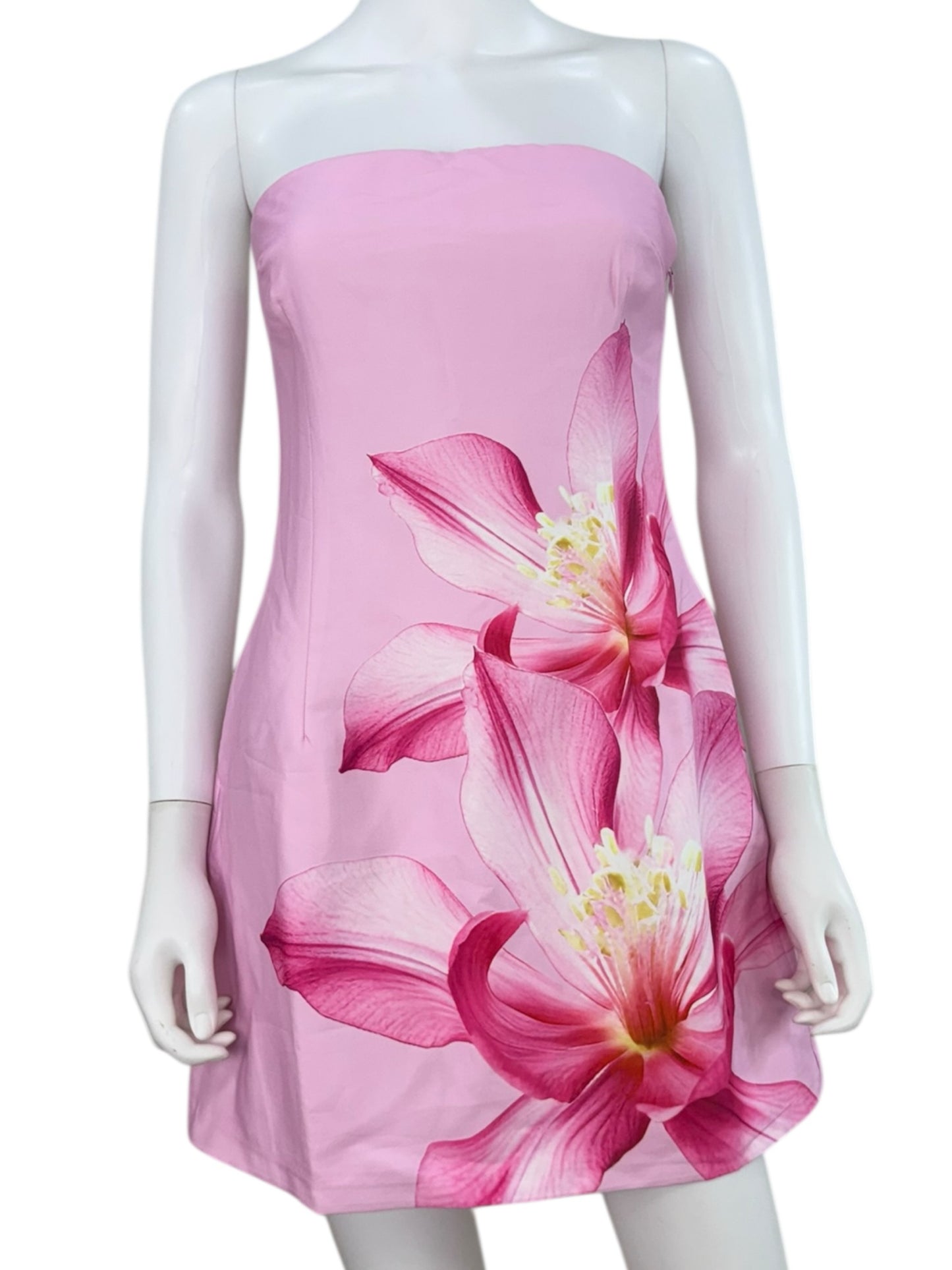 Runaway NWT Pink Floral Primrose Mini Dress Size M
