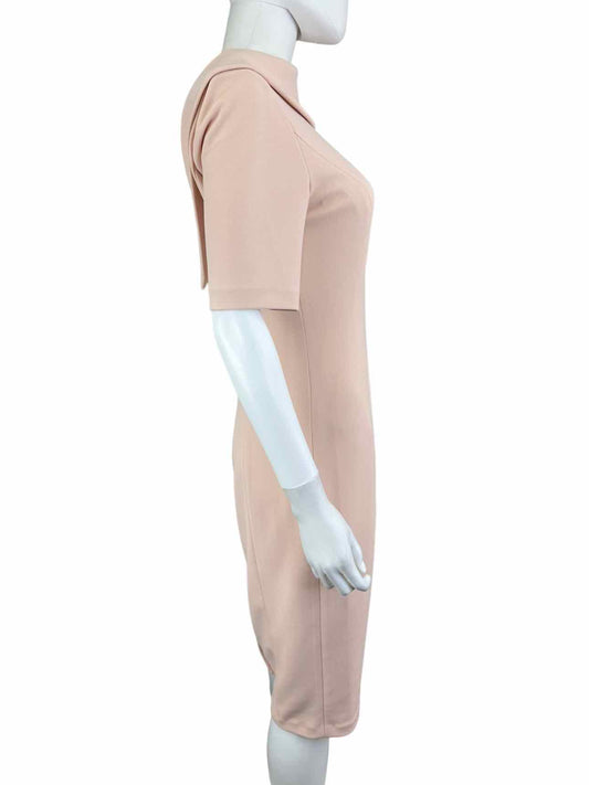 Adrianna Papell NWT Pink Blush Sheath Dress Size 4