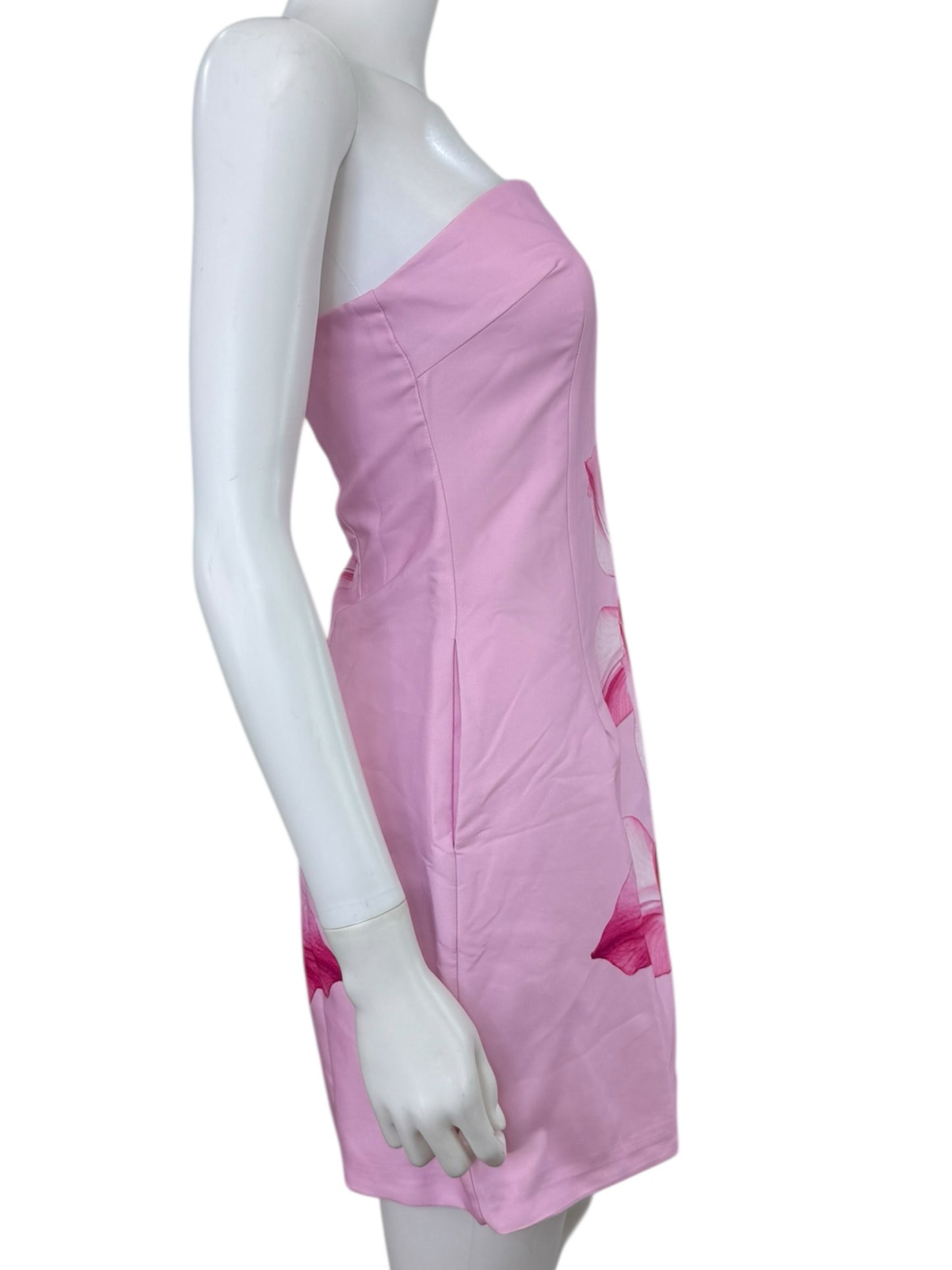 Runaway NWT Pink Floral Primrose Mini Dress Size M