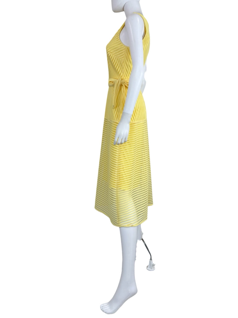 ANTONIO MELANI NWT Yellow Mesh Striped Enid Dress Size 2