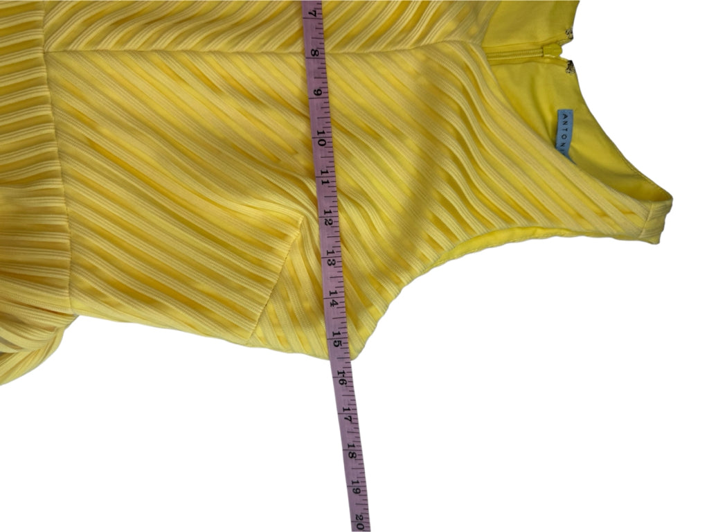 ANTONIO MELANI NWT Yellow Mesh Striped Enid Dress Size 2