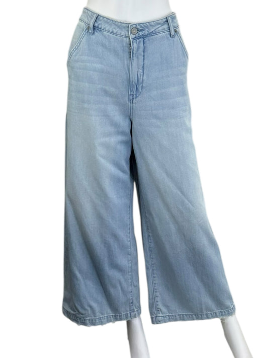 HIDDEN NWT Blue Denim NORI Wide Leg Jeans Size 31