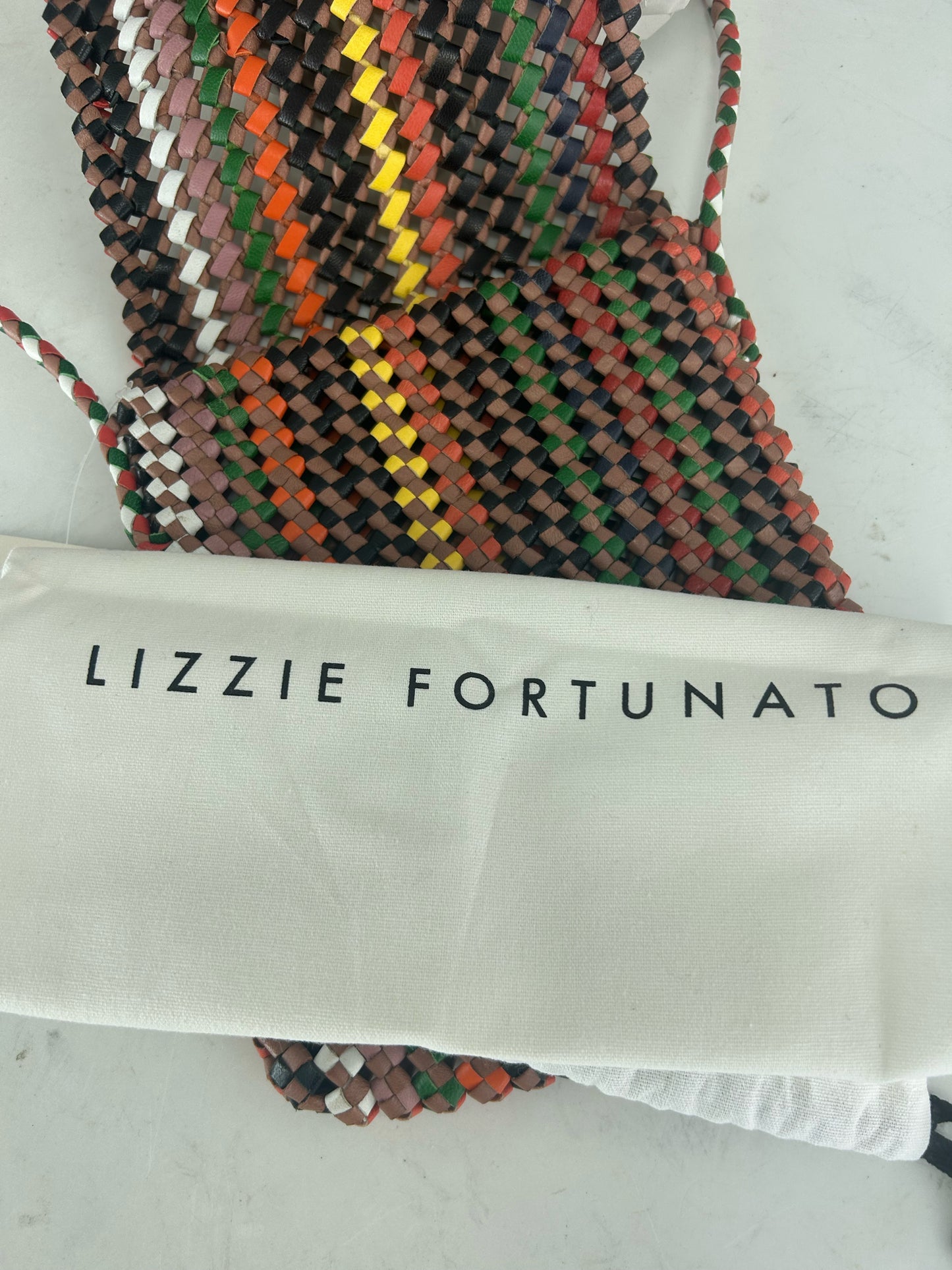 LIZZIE FORTUNATO Crossbody Designer Handbag