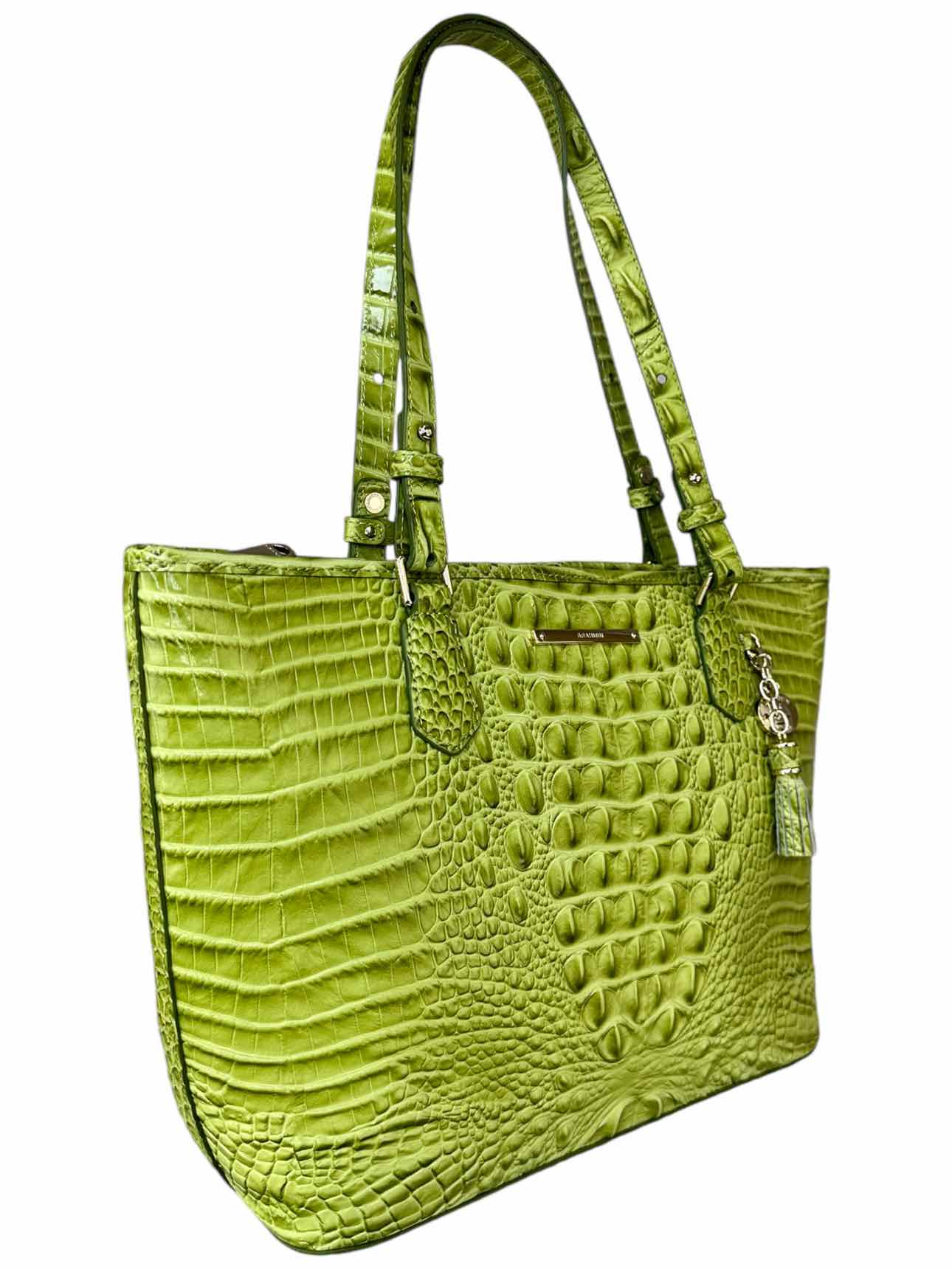 Brahmin Aloe Green Medium Asher Leather Tote