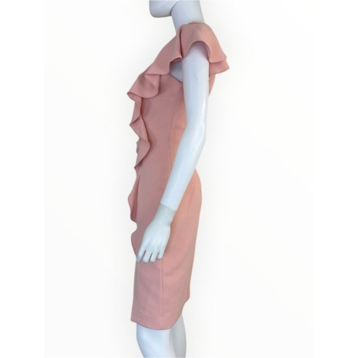 Alberto MAKALI Pink Sheath Dress Size 4