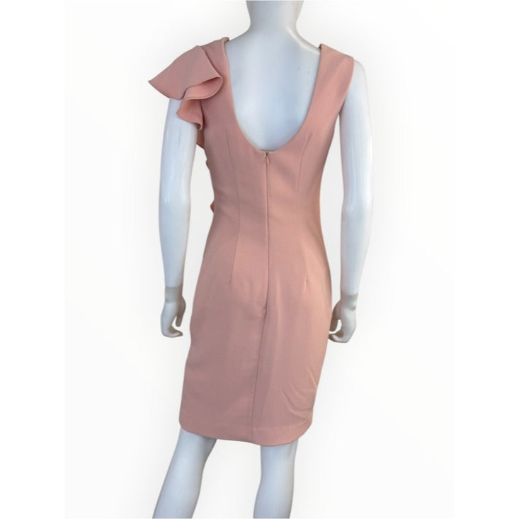 Alberto MAKALI Pink Sheath Dress Size 4