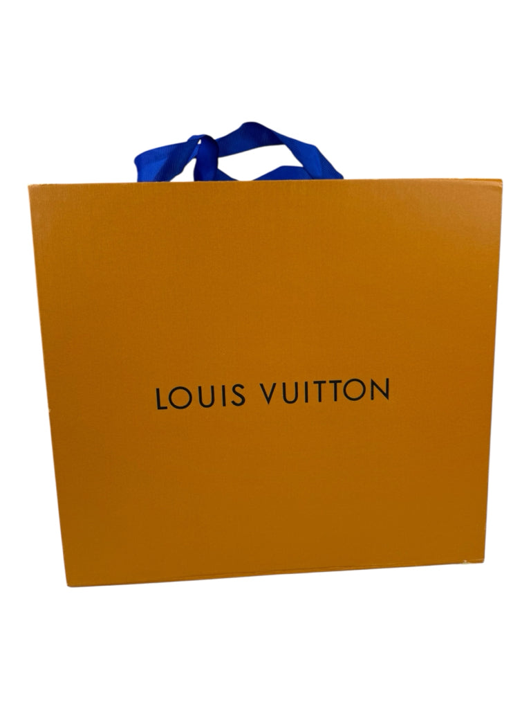 Louis Vuitton Multi Pochette Accessoires Crossbody