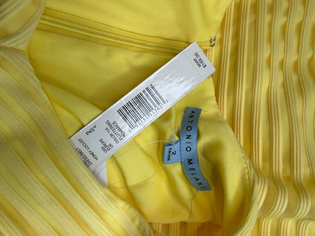 ANTONIO MELANI NWT Yellow Mesh Striped Enid Dress Size 2