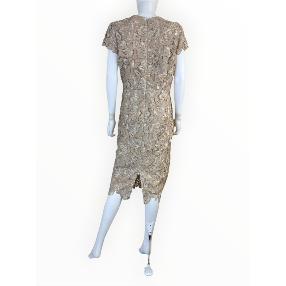 Antonio MELANI Tan Floral Lace Sheath Dress Size 12