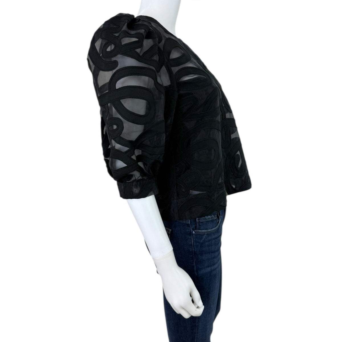 Emily McCarthy NWT Black Organza Bella Blouse Size XS N1057